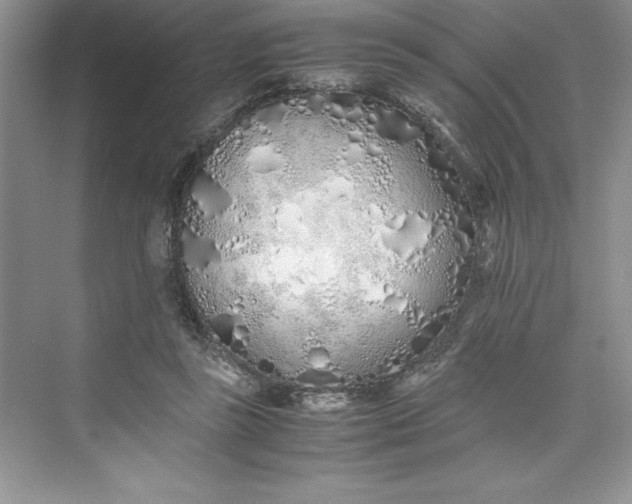 X0000075410355200609251050