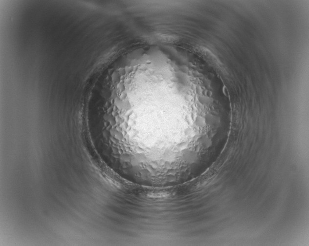 X0000075410357200609251050