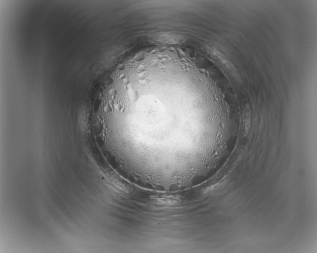 X0000075410359200609251050