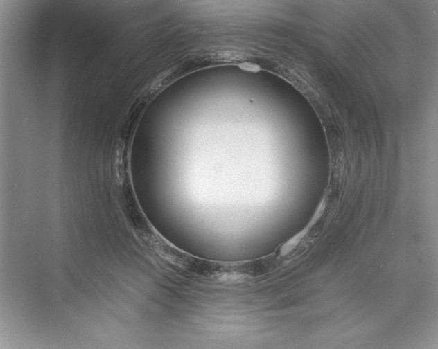 X0000075410360200609251050