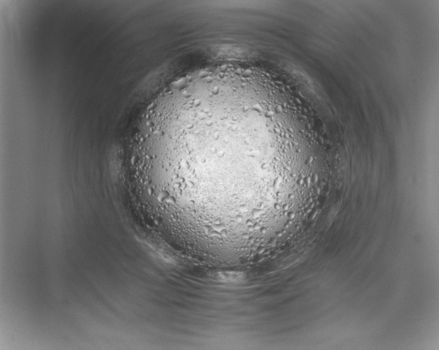 X0000075410361200609251050