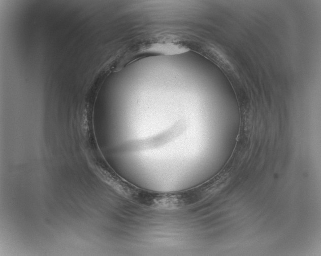 X0000075410362200609251050