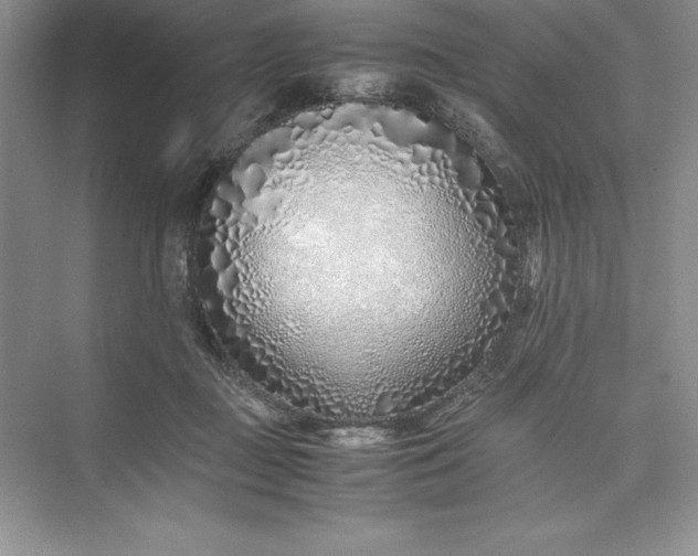 X0000075410363200609251050