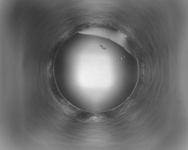 X0000075410364200609251050