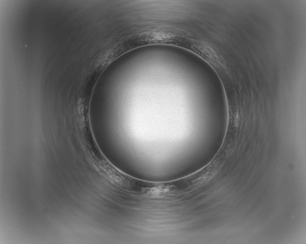 X0000075410366200609251050