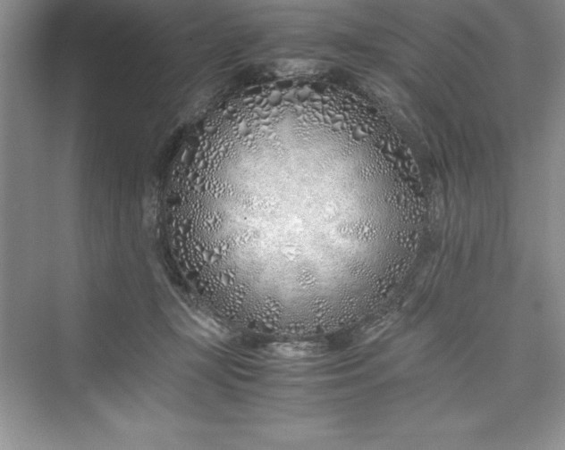 X0000075410367200609251050