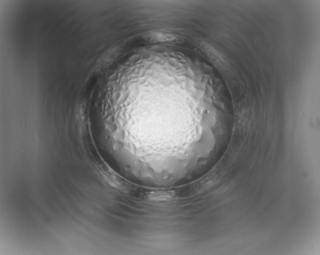 X0000075410373200609251050