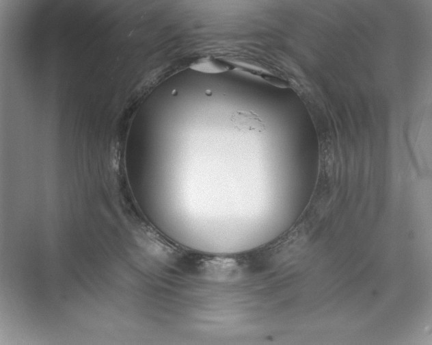 X0000075410374200609251051