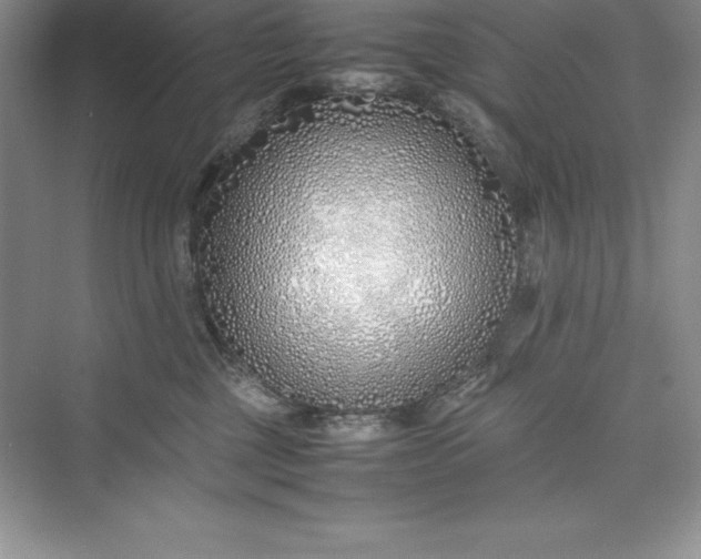 X0000075410377200609251051