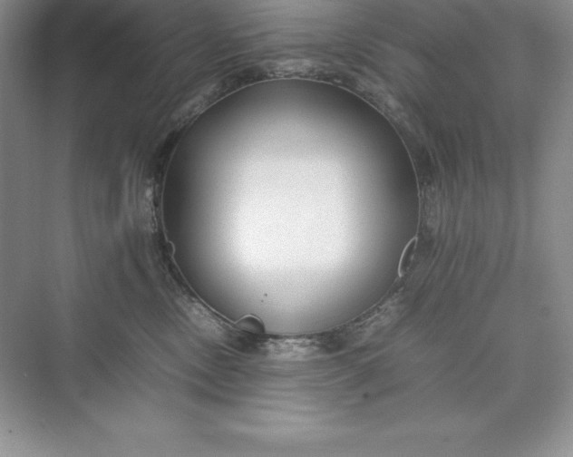 X0000075410378200609251051