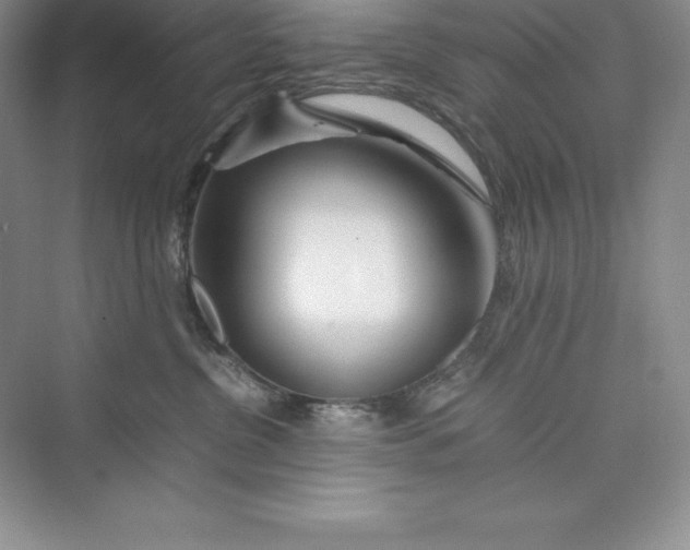 X0000075410380200609251051