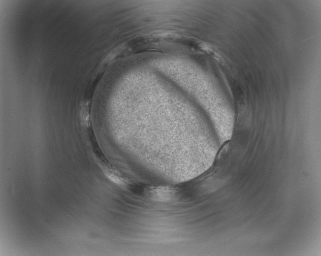 X0000075410383200609251051