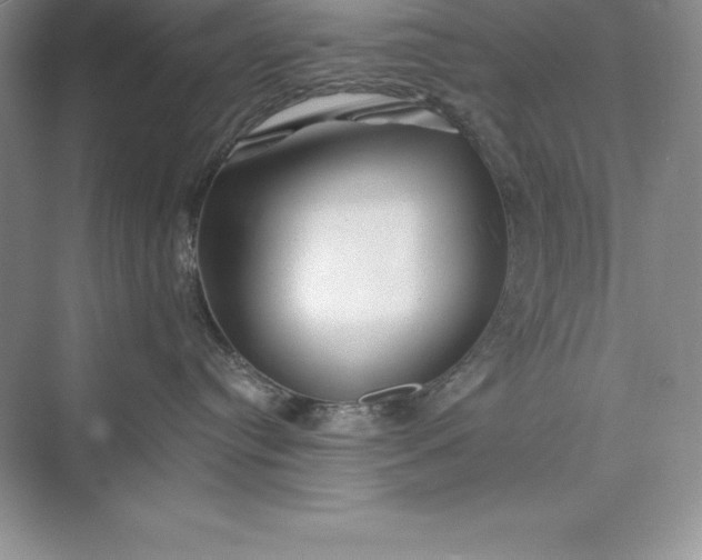 X0000075410384200609251051