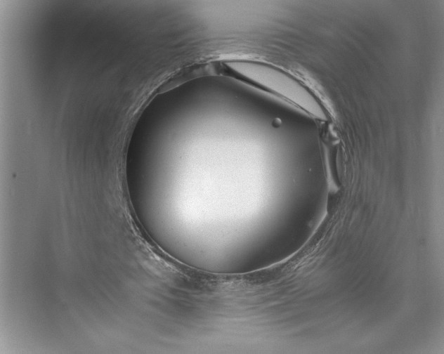 X0000075410385200609251050