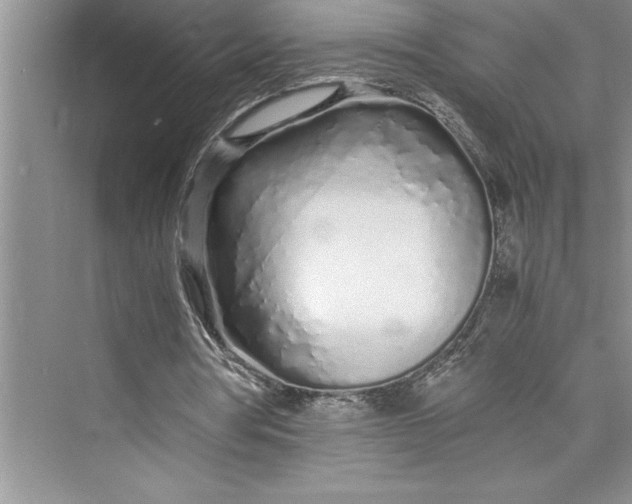 X0000075410386200609251050