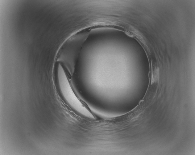 X0000075410387200609251050