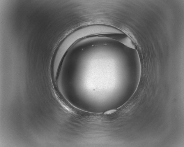 X0000075410389200609251050