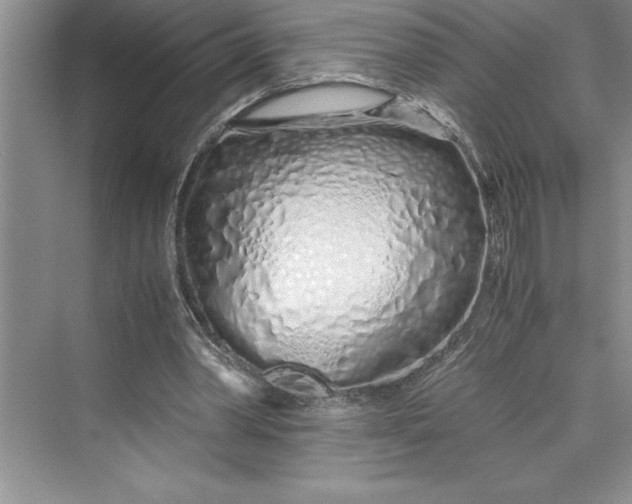 X0000075410390200609251050