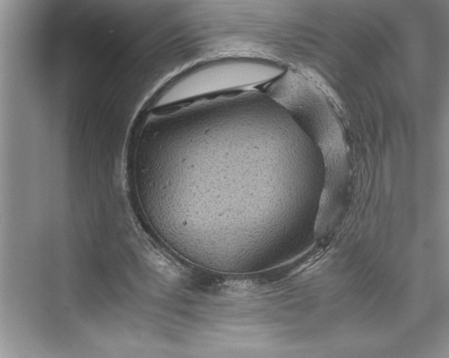 X0000075410391200609251050