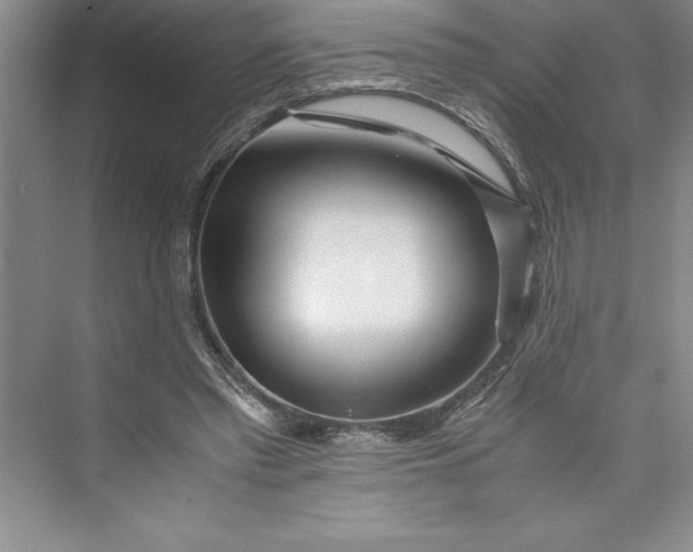 X0000075410397200609251050