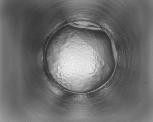 X0000075410398200609251050