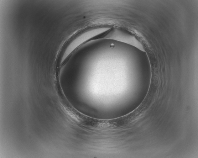 X0000075410399200609251050