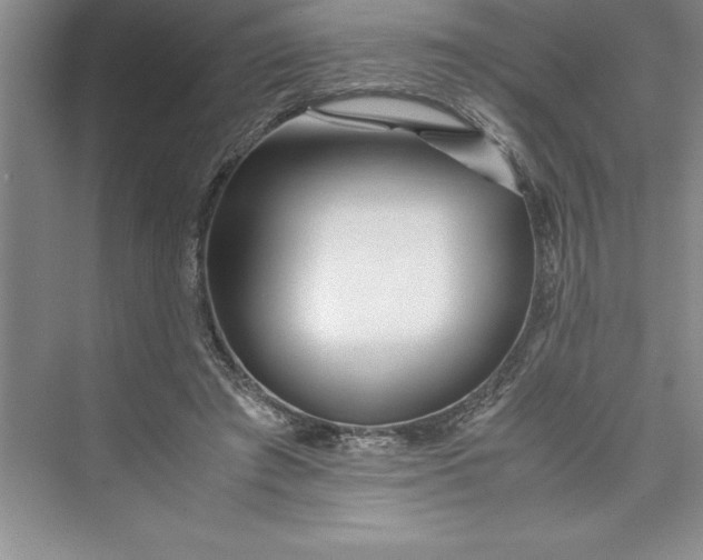 X0000075410401200609251050