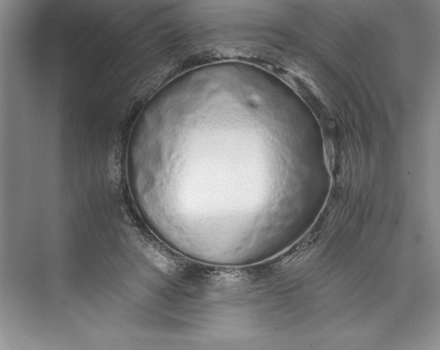 X0000075410402200609251050