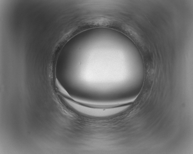 X0000075410403200609251050