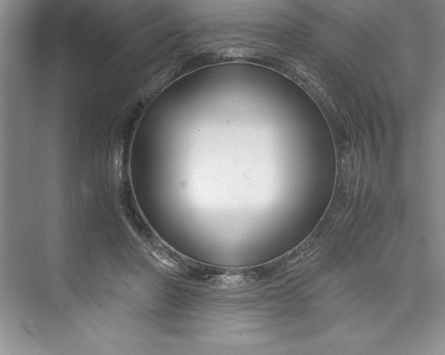 X0000075410406200609251050