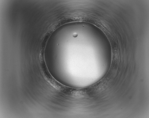 X0000075410408200609251049