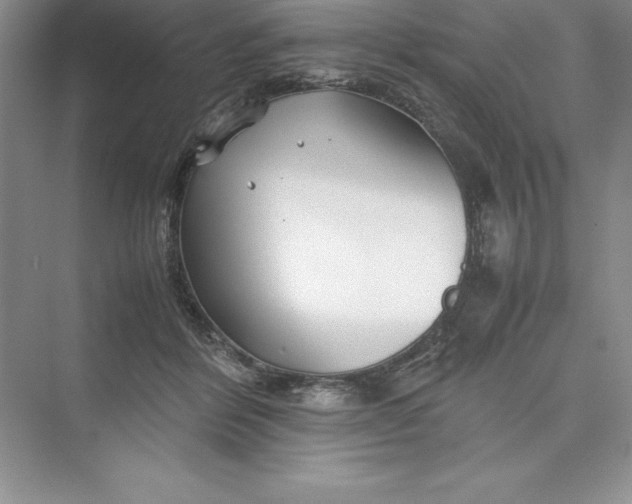 X0000075410412200609251049