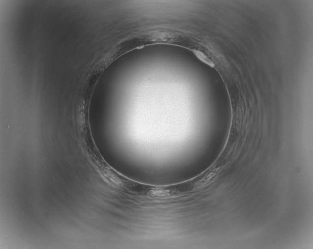 X0000075410413200609251049