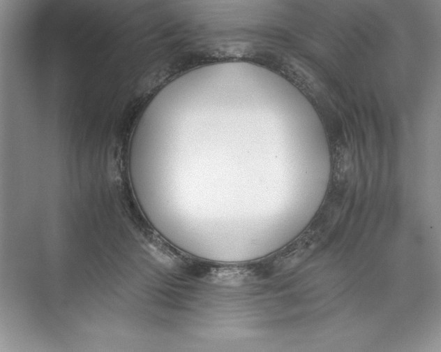 X0000075410414200609251049