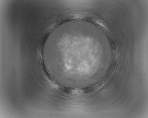 X0000075410415200609251049