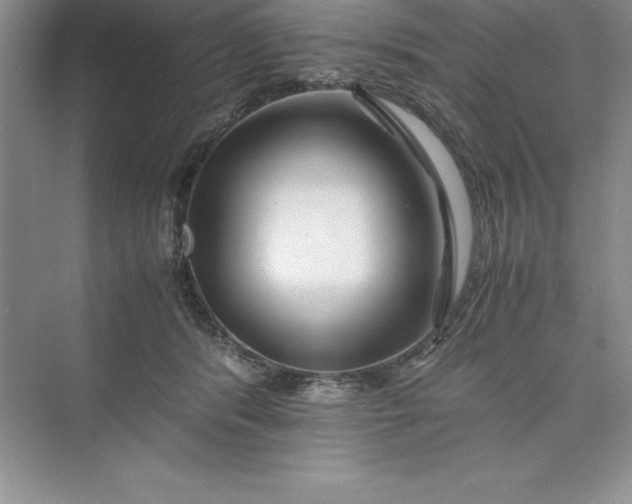 X0000075410416200609251049