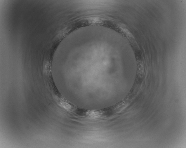 X0000075410419200609251049