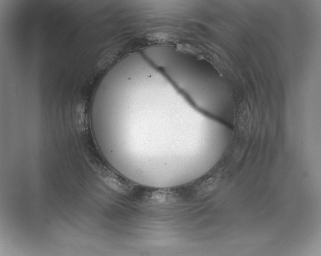 X0000075410420200609251049