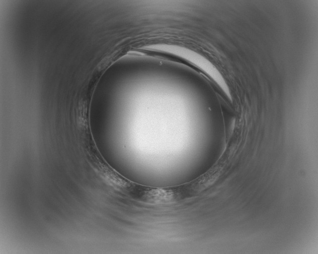 X0000075410421200609251049