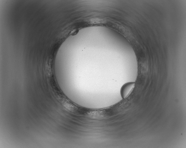 X0000075410422200609251049