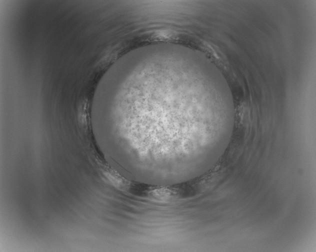 X0000075410423200609251049