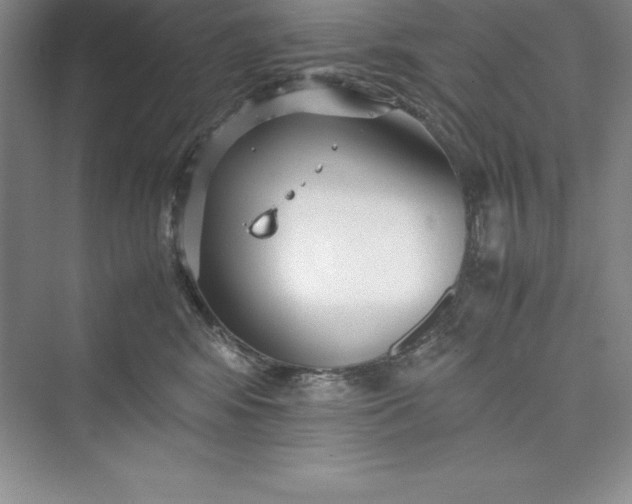 X0000075410424200609251049