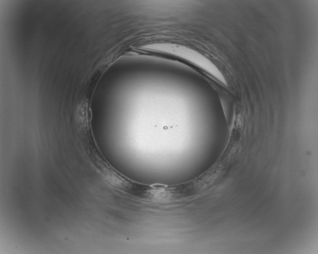 X0000075410425200609251049