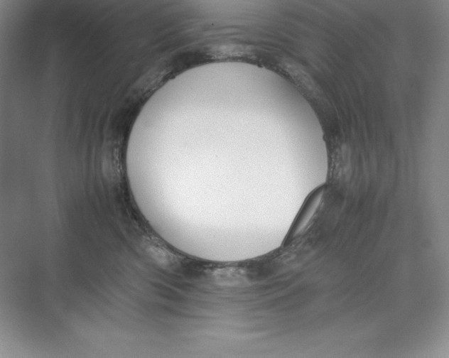 X0000075410426200609251049