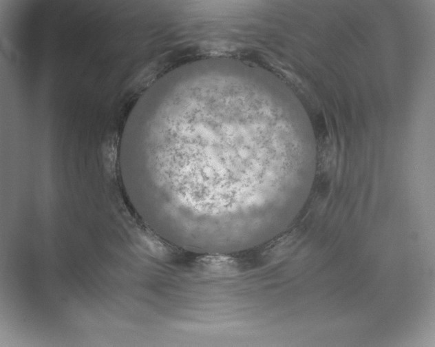 X0000075410427200609251049