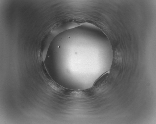 X0000075410428200609251049