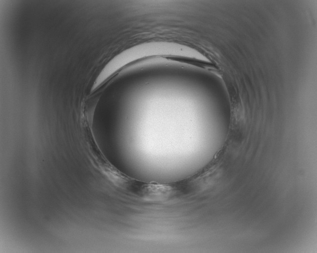 X0000075410429200609251049