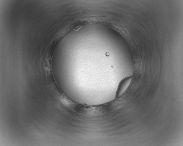 X0000075410430200609251049