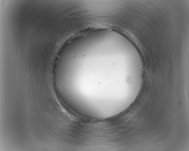 X0000075410433200609251048