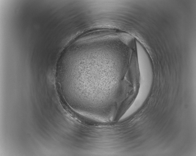 X0000075410434200609251048